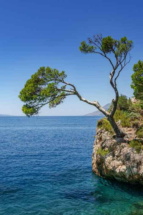 SafeInDalmatia - Brela